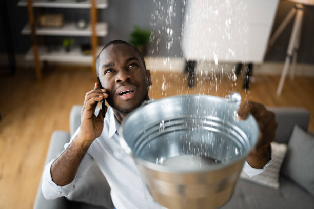Best Water damage restoration near me  in Newberry, SC
