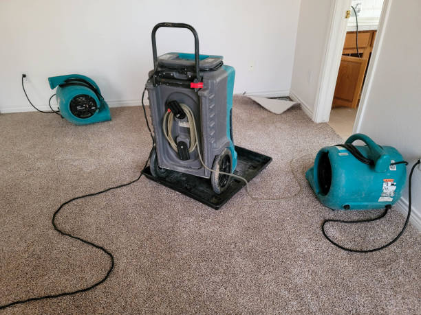 Best Flood damage cleanup  in Newberry, SC