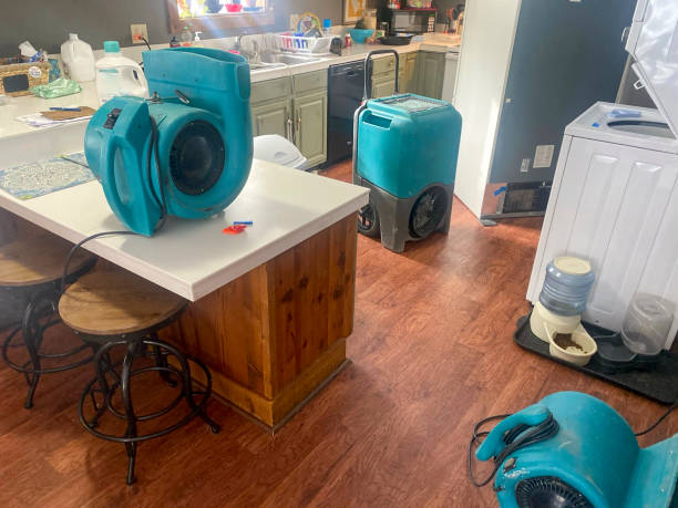 Best Local water damage restoration  in Newberry, SC
