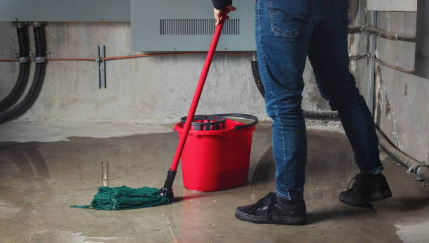 Best Carpet water damage restoration  in Newberry, SC