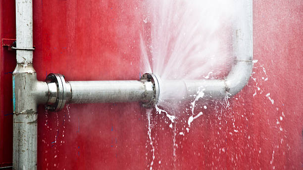 Best Flood restoration services  in Newberry, SC